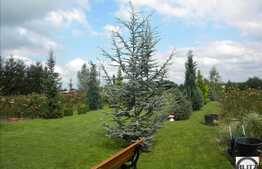 MICUL PARADIS DIN BUNA ZIUA !!