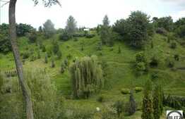 MICUL PARADIS DIN BUNA ZIUA !!