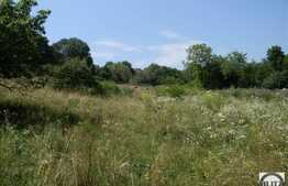 Vanzare teren 2000 mp, Extras de Carte Funciara!