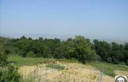 Vanzare teren 2000 mp, Extras de Carte Funciara!