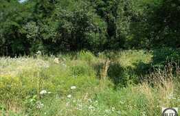 Vanzare teren 2000 mp, Extras de Carte Funciara!