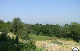 Vanzare teren 2000 mp, Extras de Carte Funciara!