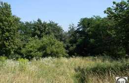 Vanzare teren 2000 mp, Extras de Carte Funciara!