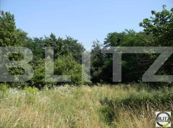 Teren de vânzare Exterior Sud - 22734TV | BLITZ Cluj-Napoca | Poza10
