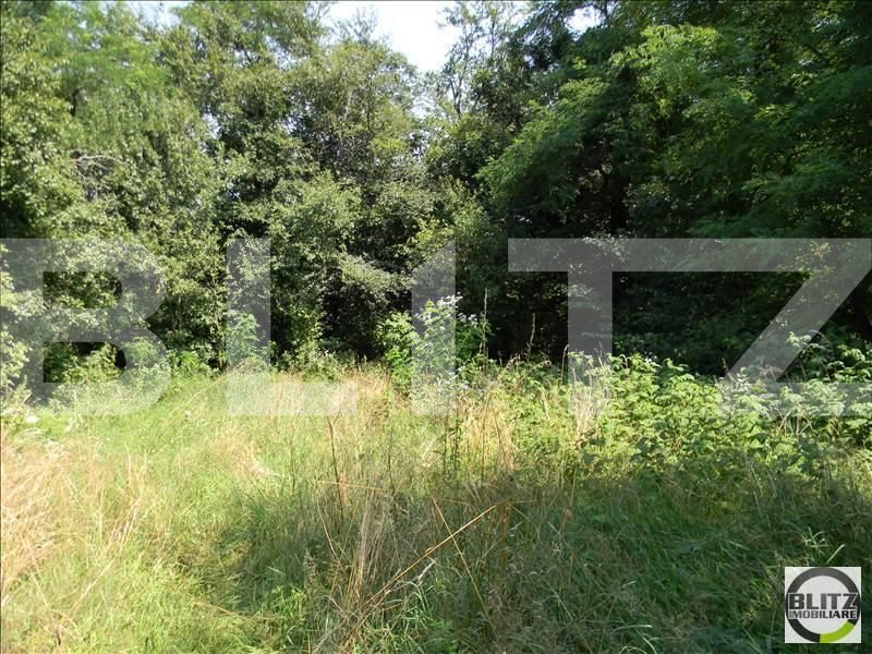 Teren de vânzare Exterior Sud - 22734TV | BLITZ Cluj-Napoca | Poza5