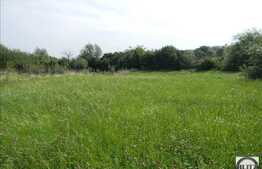 Teren 2784 mp, front 16 ml, zona linistita de case/vile