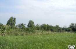 Teren 2784 mp, front 16 ml, zona linistita de case/vile