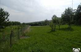 Teren 2784 mp, front 16 ml, zona linistita de case/vile