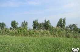 Teren 2784 mp, front 16 ml, zona linistita de case/vile