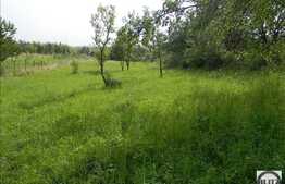 Teren 2784 mp, front 16 ml, zona linistita de case/vile