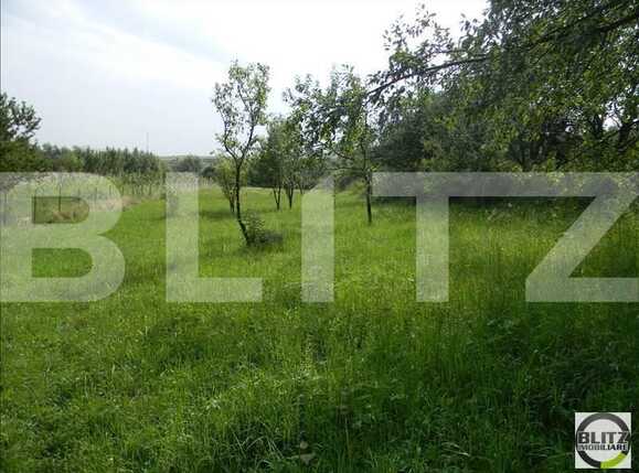 Teren de vânzare Exterior Sud - 22735TV | BLITZ Cluj-Napoca | Poza5