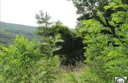 Vanzare teren 1320 mp, Extras de Carte Funciara, zona de case si vile