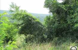 Vanzare teren 1320 mp, Extras de Carte Funciara, zona de case si vile