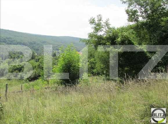 Teren de vânzare Exterior Sud - 22736TV | BLITZ Cluj-Napoca | Poza2