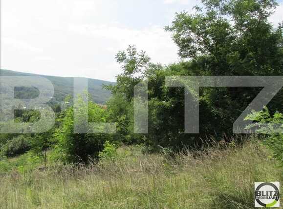 Teren de vânzare Exterior Sud - 22736TV | BLITZ Cluj-Napoca | Poza4