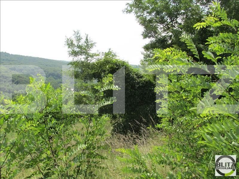 Teren de vânzare Exterior Sud - 22736TV | BLITZ Cluj-Napoca | Poza5
