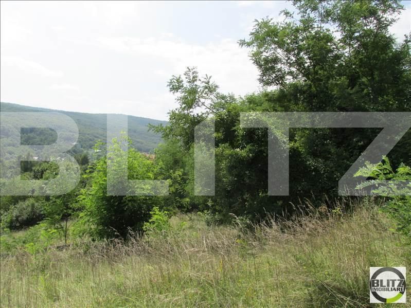 Teren de vânzare Exterior Sud - 22736TV | BLITZ Cluj-Napoca | Poza4