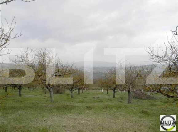 Teren de vânzare Borhanci - 22741TV | BLITZ Cluj-Napoca | Poza1