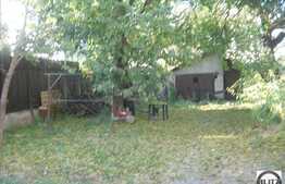 1200 mp pentru dezvoltatorii imobiliari!