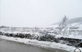 Vanzare teren 3 ha, pentru parc logistic, front 300 ml, zona Valea Seaca