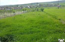 Vanzare teren 3000 mp, front stradal 20 ml, zona linistita!