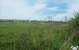 Vanzare teren 3000 mp, front stradal 20 ml, zona linistita!