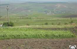 Vanzare teren agricol semicompact, 100900 mp, zona linistita