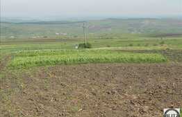 Vanzare teren agricol semicompact, 100900 mp, zona linistita