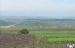 Vanzare teren agricol semicompact, 100900 mp, zona linistita