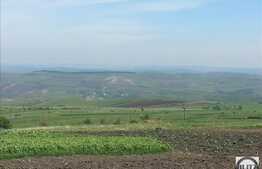 Vanzare teren agricol semicompact, 100900 mp, zona linistita