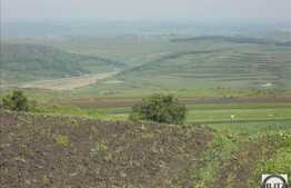 Vanzare teren agricol semicompact, 100900 mp, zona linistita