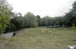 Vanzare teren cu 4670 mp in zona drumului principal, sat Gheorgheni