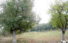 Vanzare teren cu 4670 mp in zona drumului principal, sat Gheorgheni