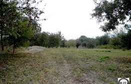 Vanzare teren cu 4670 mp in zona drumului principal, sat Gheorgheni