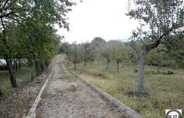 Vanzare teren cu 4670 mp in zona drumului principal, sat Gheorgheni