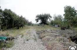 Vanzare teren cu 4670 mp in zona drumului principal, sat Gheorgheni