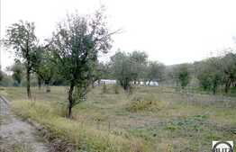 Vanzare teren cu 4670 mp in zona drumului principal, sat Gheorgheni
