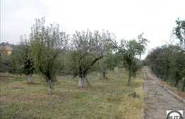 Vanzare teren cu 4670 mp in zona drumului principal, sat Gheorgheni