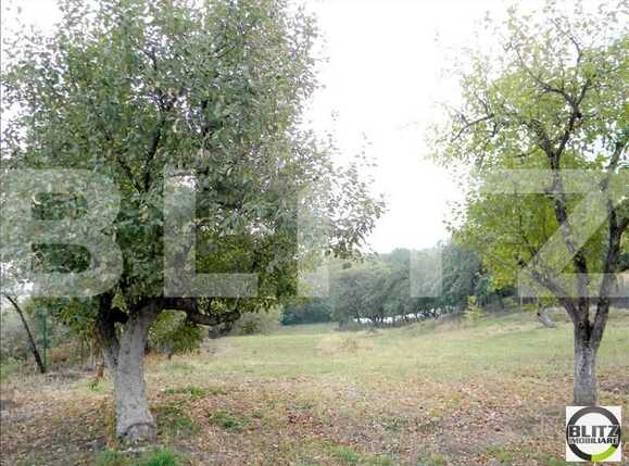 Teren de vânzare Exterior Est - 22749TV | BLITZ Cluj-Napoca | Poza6