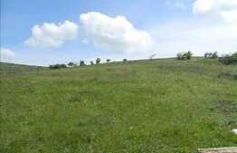 Vanzare teren 2850 mp, zona linistita