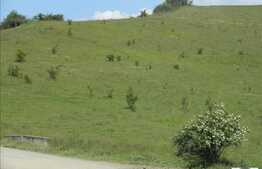 Vanzare teren 2850 mp, zona linistita