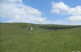 Vanzare teren 2850 mp, zona linistita