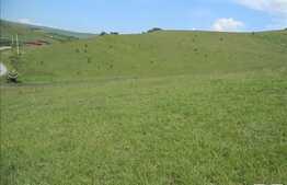 Vanzare teren 2850 mp, zona linistita