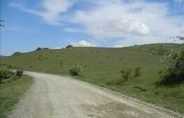 Vanzare teren 2850 mp, zona linistita