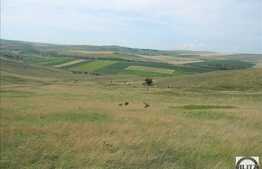 Vanzare teren agricol 504.000 mp, zona Cojocna!