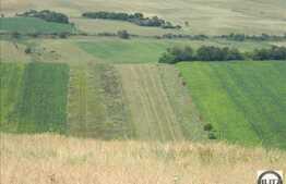 Vanzare teren agricol 504.000 mp, zona Cojocna!