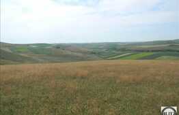 Vanzare teren agricol 504.000 mp, zona Cojocna!