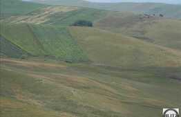 Vanzare teren agricol 504.000 mp, zona Cojocna!