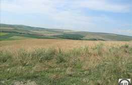 Vanzare teren agricol 504.000 mp, zona Cojocna!