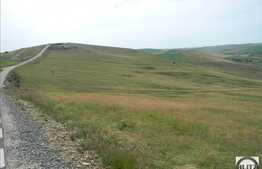 Vanzare teren agricol 504.000 mp, zona Cojocna!